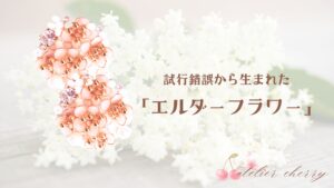 試行錯誤から生まれた「エルダーフラワー」